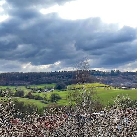 Ferienwohnung Balkonblick Am Hirschberg ザンクト・ヴェンデル エクステリア 写真